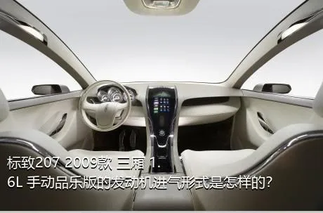 标致207 2009款 三厢 1.6L 手动品乐版的发动机进气形式是怎样的？