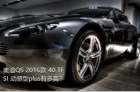 奥迪Q5 2016款 40 TFSI 动感型plus有多高？