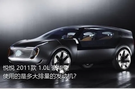 悦悦 2011款 1.0L 豪华型使用的是多大排量的发动机？