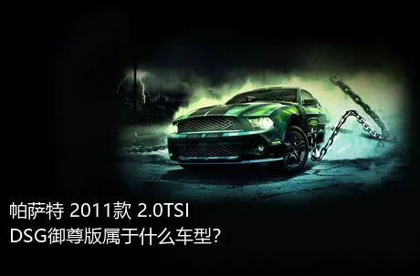 帕萨特 2011款 2.0TSI DSG御尊版属于什么车型？