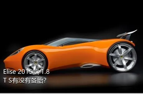 Elise 2015款 1.8T S有没有备胎？