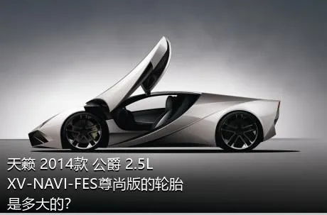 天籁 2014款 公爵 2.5L XV-NAVI-FES尊尚版的轮胎是多大的？