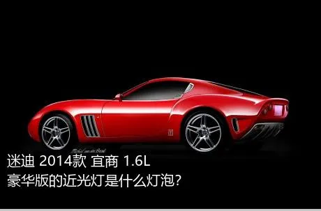 迷迪 2014款 宜商 1.6L 豪华版的近光灯是什么灯泡？
