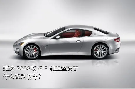 捷达 2008款 GIF 前卫型属于什么级别的车？