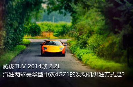 威虎TUV 2014款 2.2L汽油两驱豪华型中双4GZ1的发动机供油方式是？