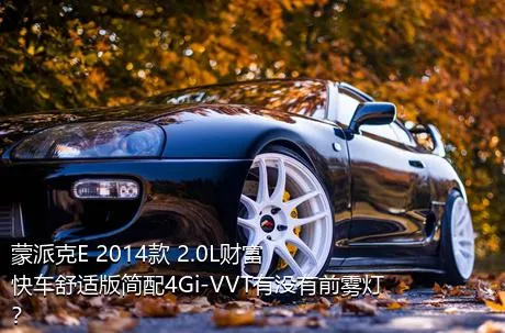蒙派克E 2014款 2.0L财富快车舒适版简配4Gi-VVT有没有前雾灯？