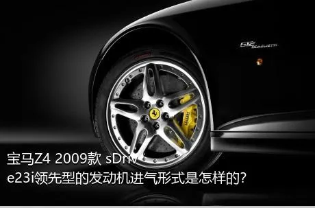 宝马Z4 2009款 sDrive23i领先型的发动机进气形式是怎样的？