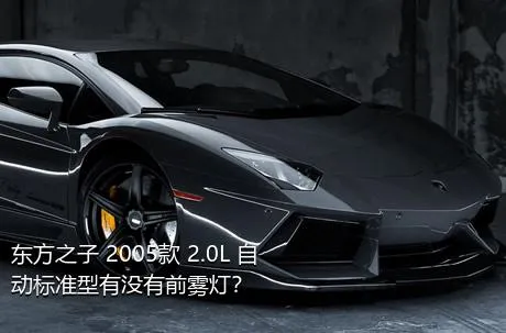 东方之子 2005款 2.0L 自动标准型有没有前雾灯？