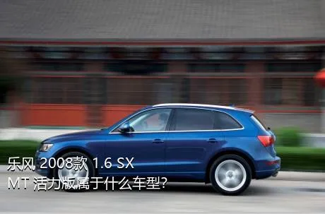 乐风 2008款 1.6 SX MT 活力版属于什么车型？