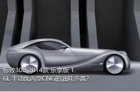 标致308 2014款 乐享版 1.6L 手动优尚型CNG的油耗多高？