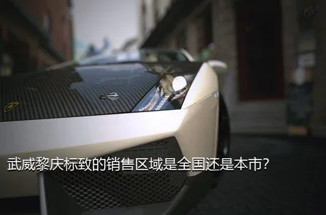 武威黎庆标致的销售区域是全国还是本市？
