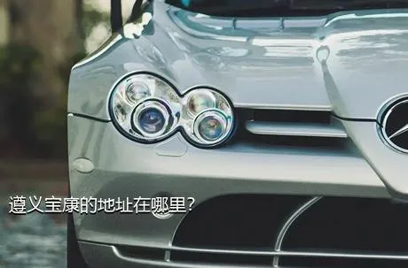 遵义宝康的地址在哪里？
