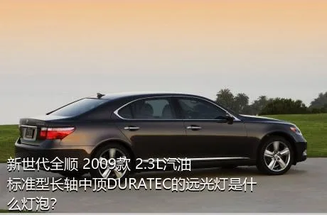新世代全顺 2009款 2.3L汽油标准型长轴中顶DURATEC的远光灯是什么灯泡？