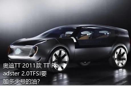 奥迪TT 2011款 TT Roadster 2.0TFSI要加多少号的油？