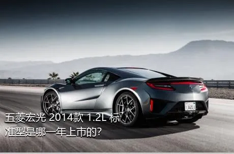 五菱宏光 2014款 1.2L 标准型是哪一年上市的？