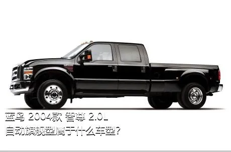 蓝鸟 2004款 智尊 2.0L 自动旗舰型属于什么车型？