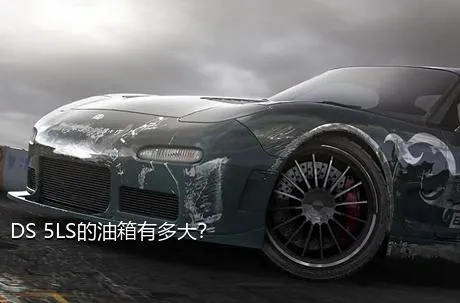 DS 5LS的油箱有多大？