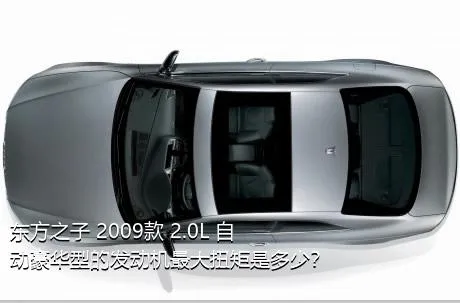 东方之子 2009款 2.0L 自动豪华型的发动机最大扭矩是多少？