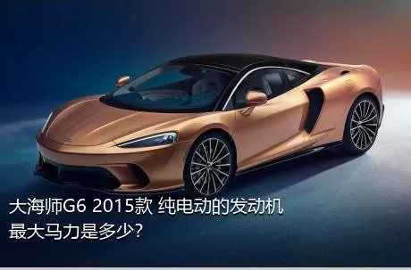 大海师G6 2015款 纯电动的发动机最大马力是多少？