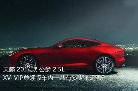 天籁 2014款 公爵 2.5L XV-VIP尊领版车内一共有多少个喇叭？