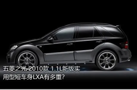 五菱之光 2010款 1.1L新版实用型短车身LXA有多重？