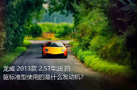 龙威 2013款 2.5T柴油 四驱标准型使用的是什么发动机？