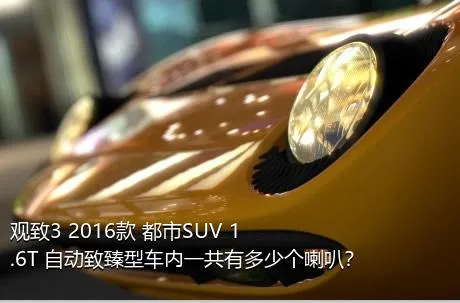 观致3 2016款 都市SUV 1.6T 自动致臻型车内一共有多少个喇叭？