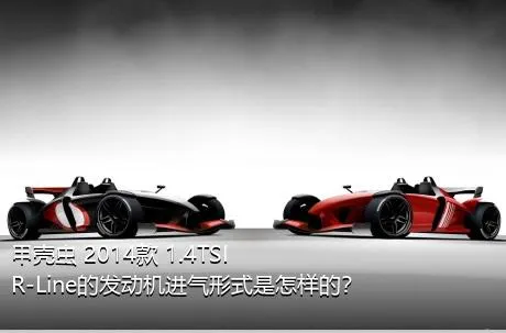 甲壳虫 2014款 1.4TSI R-Line的发动机进气形式是怎样的？