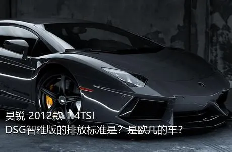 昊锐 2012款 1.4TSI DSG智雅版的排放标准是？是欧几的车？
