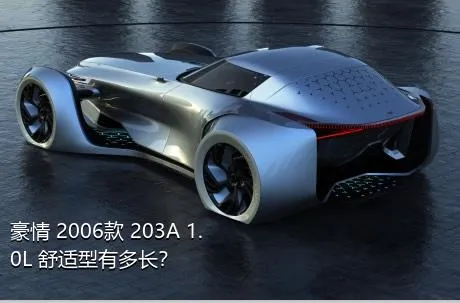 豪情 2006款 203A 1.0L 舒适型有多长？