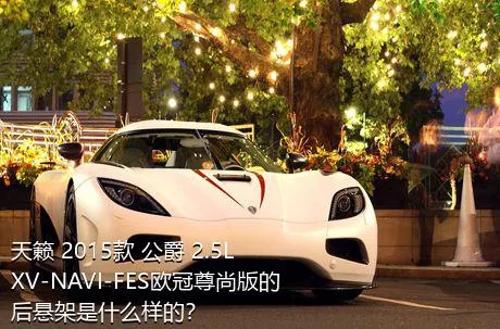 天籁 2015款 公爵 2.5L XV-NAVI-FES欧冠尊尚版的后悬架是什么样的？
