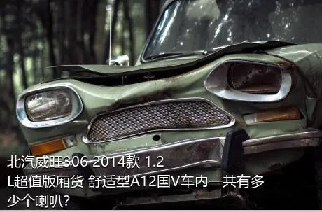 北汽威旺306 2014款 1.2L超值版厢货 舒适型A12国V车内一共有多少个喇叭？