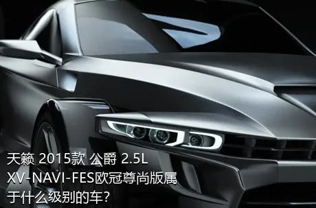 天籁 2015款 公爵 2.5L XV-NAVI-FES欧冠尊尚版属于什么级别的车？