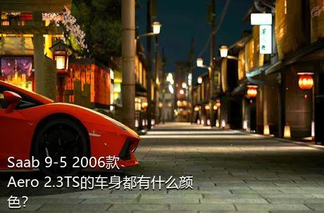 Saab 9-5 2006款 Aero 2.3TS的车身都有什么颜色？