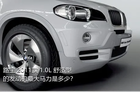 路宝 2011款 1.0L 舒适型的发动机最大马力是多少？