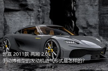 世嘉 2011款 两厢 2.0L 手动博雅型的发动机进气形式是怎样的？
