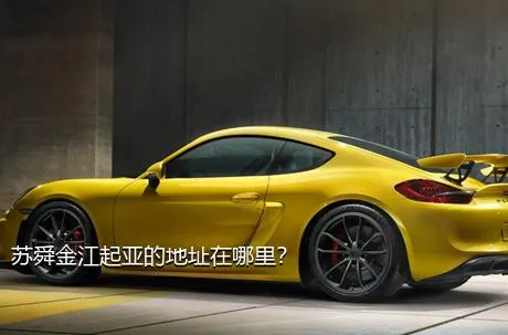 苏舜金江起亚的地址在哪里？