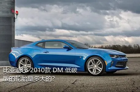比亚迪F3 2010款 DM 低碳版的轮胎是多大的？