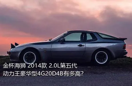 金杯海狮 2014款 2.0L第五代动力王豪华型4G20D4B有多高？