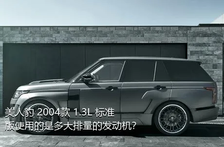 美人豹 2004款 1.3L 标准版使用的是多大排量的发动机？