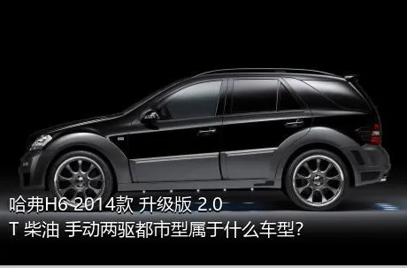 哈弗H6 2014款 升级版 2.0T 柴油 手动两驱都市型属于什么车型？