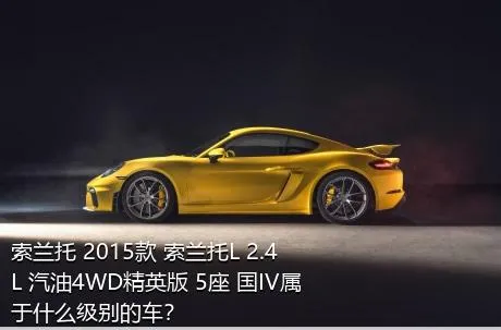 索兰托 2015款 索兰托L 2.4L 汽油4WD精英版 5座 国IV属于什么级别的车？