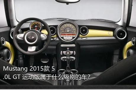 Mustang 2015款 5.0L GT 运动版属于什么级别的车？