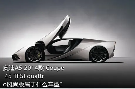 奥迪A5 2014款 Coupe 45 TFSI quattro风尚版属于什么车型？