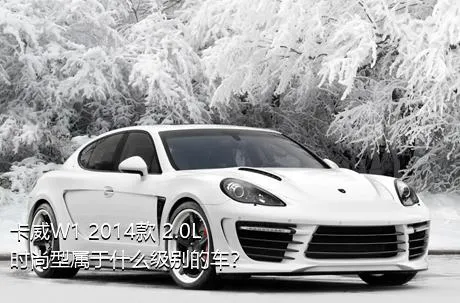 卡威W1 2014款 2.0L 时尚型属于什么级别的车？