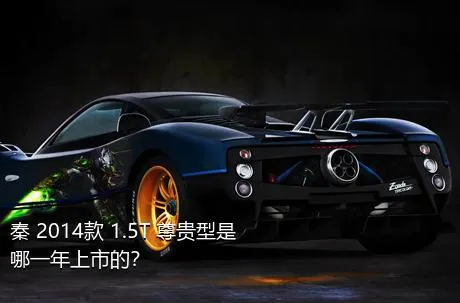 秦 2014款 1.5T 尊贵型是哪一年上市的？