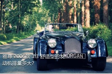 雅尊 2006款 3.3 舒适型的发动机排量多大？