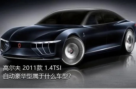 高尔夫 2011款 1.4TSI 自动豪华型属于什么车型？