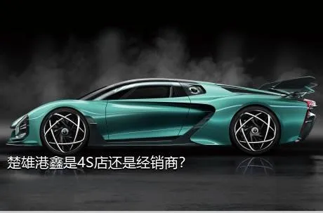 楚雄港鑫是4S店还是经销商？
