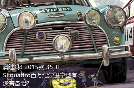 奥迪Q3 2015款 35 TFSI quattro百万纪念进享型有没有备胎？